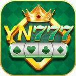 YN 777